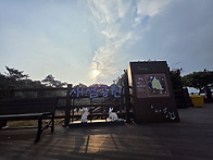 제주 한라산 박도보2차 몇장 더더더 투척