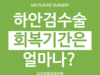 하안검수술, 눈밑지 회복기..