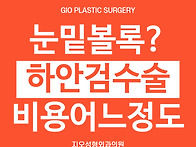 하안검수술비용 어느정도 ..