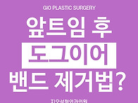 앞트임 도그이어, 밴드 현..