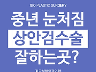 중년 상안검수술잘하는곳 ..