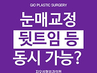눈매교정수술 뒷트임 앞트..