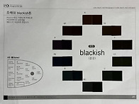 스스로회원 1교시 조색[색..