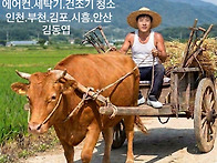 🐥세탁기.건조..