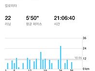 월간기록 217.2km