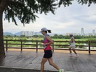 아산 은행나무길 27.3km