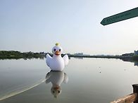 5km달리기 연습