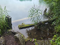 오제습원 트레킹 넷째 날