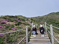 제주/한라산