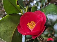 비령길/3~4~5코스