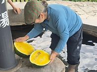 8.3 온천족탕 수박