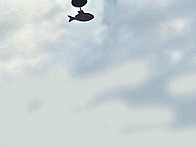 들꽃편지(제677호..