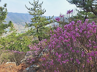 제231차 정기산행 남해 설..