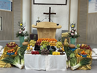 2025년 추수감사절 단쌓기