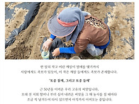 정말 고소한 국산 참기름,..