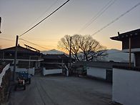 동터오는 아침!!!(감자 다..