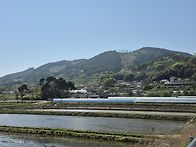 모내기 후, 교회와 마을,..