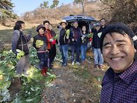 배추추수 해갔다!!!/ 25..