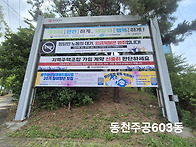 청년일경험