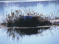 물의정원 탐방.