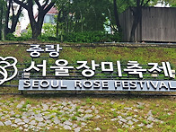 서울 장미축제