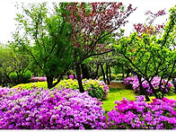 과거의오늘 2013.05.03..