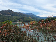 충청도 여행