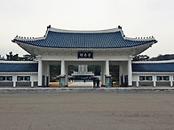 동작동 국립현충원 벚꽃