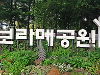 보라매 공원