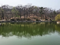 창경궁 춘당지 주변