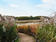 하늘공원