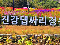 임진강 댑싸리 정원