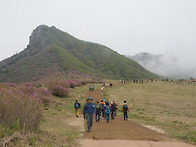 20250511 황매산 (보석산..