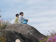 20250511 황매산 (보석산..