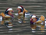 [포토타임] 오늘밤부터 한..