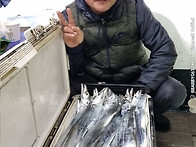 11/14 제주7화원호 갈치조황