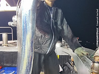 260626 제주7화원호 갈치조황