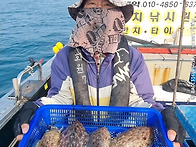 4/2 제주7화원호 갑오징어 조황