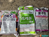 2차 노린재 방제