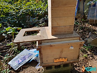 토종벌꿀 채밀과 동시 개량..