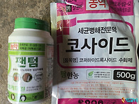 키위밭 병해충 방제