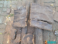 참나무 껍질로 분봉군 유인..