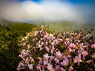 지리산
