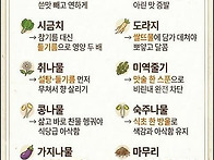 나물 무침 황금 공식