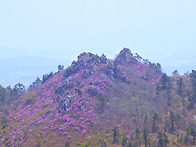 주작산
