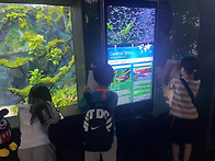 2025년 아쿠아리움+롯데타..