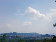 산딸기 익어가는 태릉 백세..