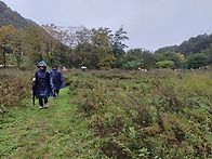 강원도 인제 새이령 옛길...