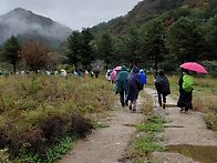 강원도 인제 새이령 옛길 ..