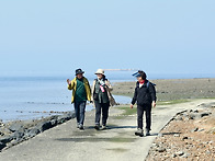 햇살 가득 천북굴따라길 ..